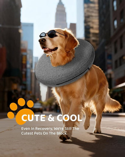 MIDOG Inflatable Dog Cone Collar – Soft Dog Cone Alternative After Surgery, Comfortable Recovery Neck Donut ECollar for Small Medium & Large Dogs and Cats to Stop Licking & Vision-Friendly (Grey,M+)