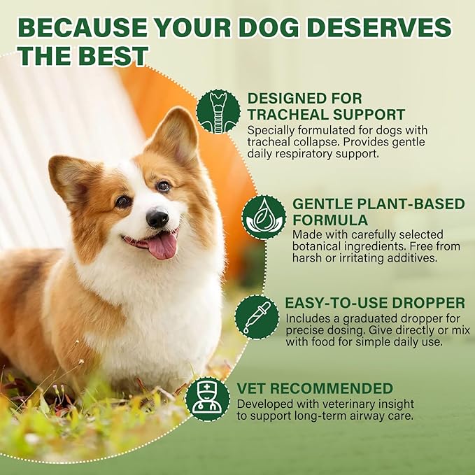 Dogs Tracheal Collapse Relief, Collapsed Trachea Treatment for Dogs, Helps Reduce Dry Cough & Support Easy Breathing, Natural Trachea Supplement, Chicken Flavor - 2 fl oz
