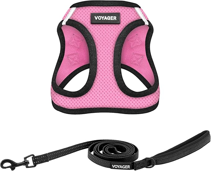 Best Pet Supplies Voyager Step-in Air All Weather Mesh Harness and Reflective Dog 5 ft Leash Combo with Neoprene Handle, for Small, Medium and Large Breed Puppies - Pink/Black Trim, XXX-Small