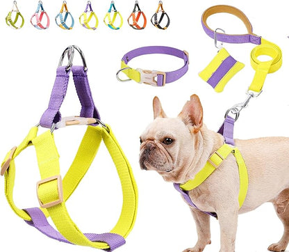 No Pull Dog Harness and Leash Set, Dog Collar, Step in Dog Halter Harness with Poop Bag Holder, Adjustable Lightweight Cotton Straps Suitable for Small Medium Large Dogs Outdoor Walking Running Hiking
