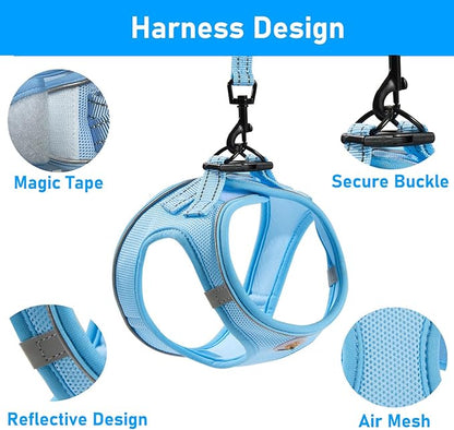 Hipubby Dog Harness and Leash Set, No Pull Soft Mesh Puppy Harness for Small Medium Dogs, Cats - Step in Reflective Breathable Lightweight Vest Harness for Walking, Training - Blue, XXS