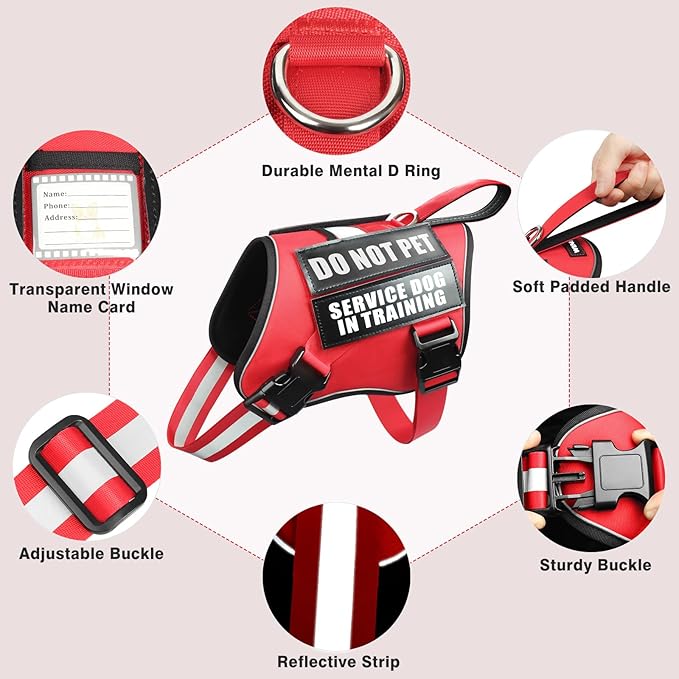 Service Dog Harness and Leash Set, Training Dog Vest with 10 Dog Patches, Emotional Support Therapy Dog Vest Harness for Small Medium Large and Extra Large Dogs(Red, XL)
