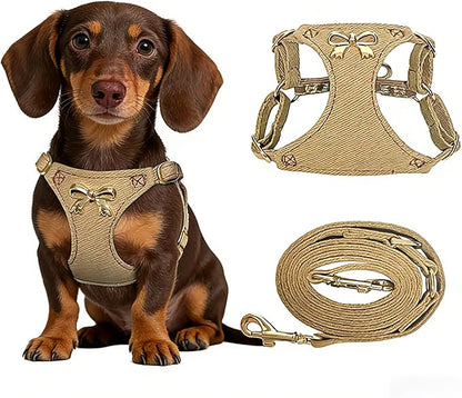 No Pull Dog Harness and Leash Set for Small Sized Dog Training Puppy Harnesses with Multifunction Dog Leash Soft Adjustable Denim No Choke Escape Proof Pet Harness for Small and Medium Dog (Brown XXS)