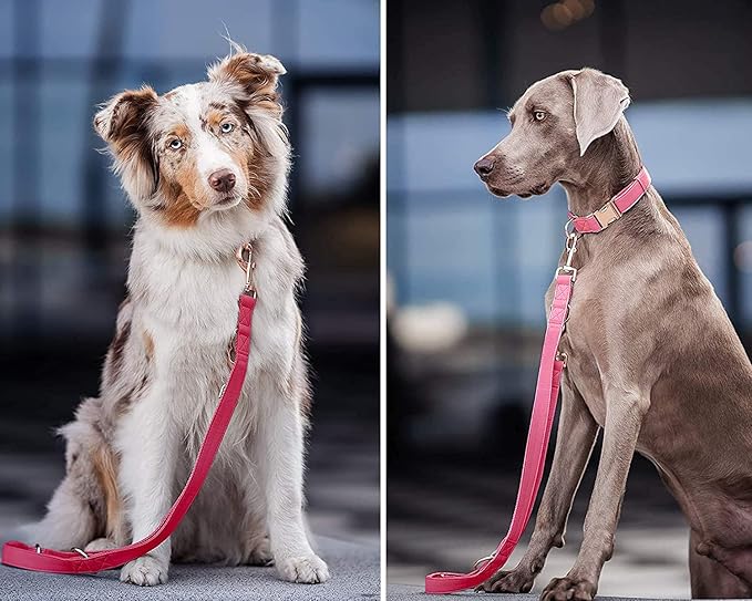 Soft Leather Dog Collar and Leash (6.6') Set - Stylish Rose Gold Heavy Duty Metal Buckle, 4 Adjustable Lengths Leash for Small Medium Large Dogs - Comfortable & Easy to Clean Dark Pink S(12.2"-16.9")