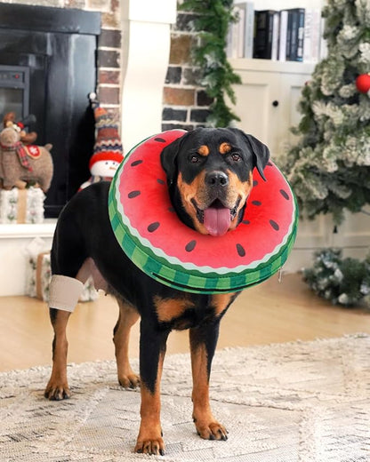Inflatable Dog Pillow Cone Collar After Surgery, Donut Soft Neck Cone for Beagle French Bulldog Medium Plus Dogs, etc, Recovery E Collar to Stop Licking Watermelon