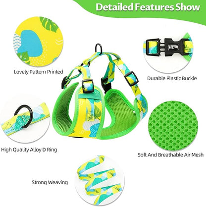 Small Dog Harness and Leash Set of 6, No Pull Soft Lightweight Mesh Puppy Harness， Adjustable Cute Floral Pattern Pet Harness for Small Medium Dogs (Green Leaf, M)