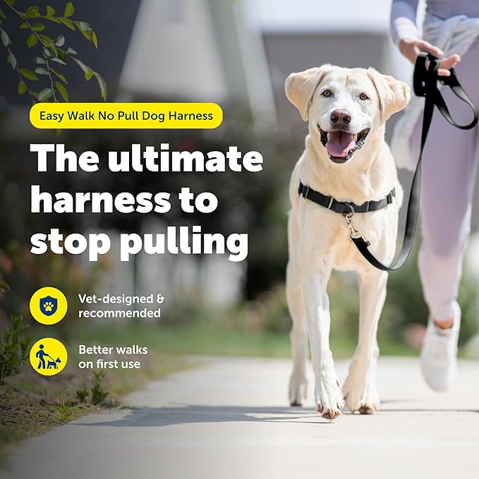 PetSafe Easy Walk Harness for Dogs - Pull-Free Walks - Patented Martingale Loop Design - Front Chest Leash Attachment - Comfort Straps - Breathable Harness Design - Large, Charcoal/Black