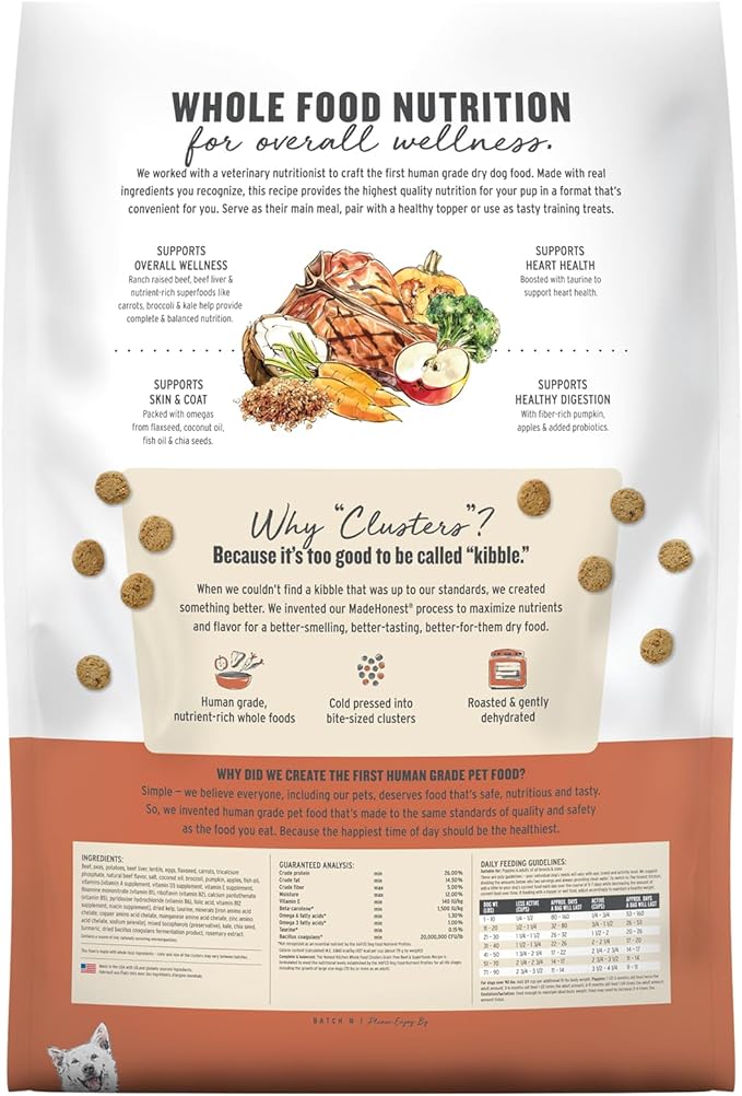 The Honest Kitchen Human Grade Whole Food Clusters Dog Grain Free Beef 10 lb Bag