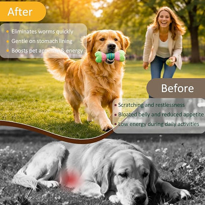 Dewormer for Dogs Fenbendazole for Tapeworms, Roundworms, Hookworms and Whipworms Broad Spectrum