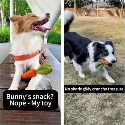 MewaJump Dog Squeaky Chew Toys for Aggressive Chewers, Easter Toys Rubber Carrot Dog Toys for Training and Cleaning, Durable Interactive Tough Dog Toy for Puppy Medium Dogs