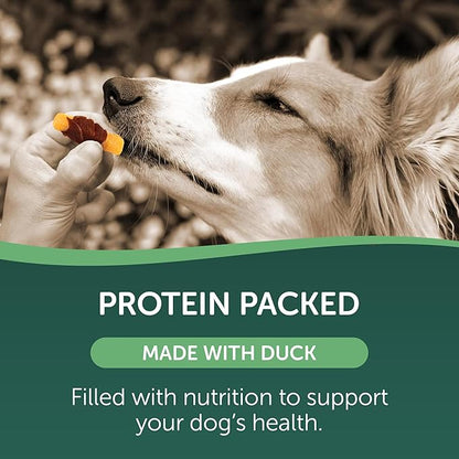 HEALTHFULS Duck & Sweet Potato Treats, 16 oz - Healthy, Protein Rich Treats for Dogs - Dog Chews