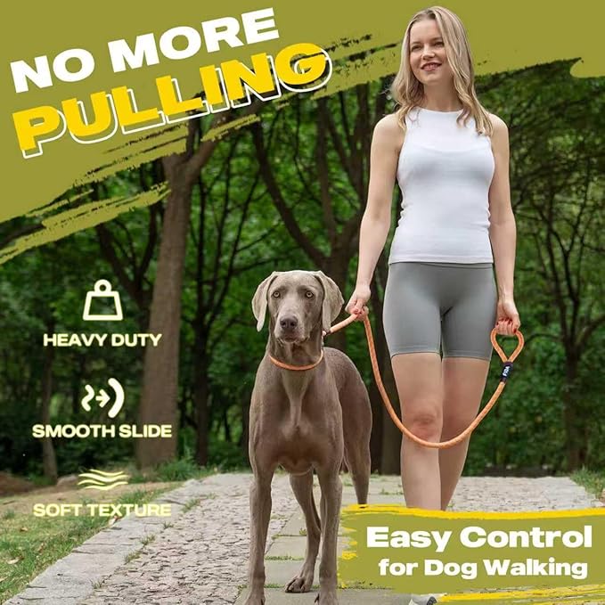 Fida Durable Slip Loop Lead for Large, Medium Dogs, 6 FT x 1/2" Heavy Duty, Comfortable Strong Rope, No Pull Pet Training Leash with Highly Reflective, Orange
