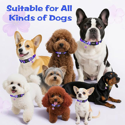 Kazazoo Dog Collar Cute and Soft Nylon Puppy Collar Girl, Adjustable Dog Collars for Small Medium Dogs, Purple Flowers-S