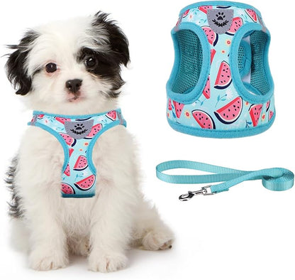 KOOLTAIL Dog Harness and Leash Set for Small Medium Dogs, Step in No Pull Soft Mesh Dog Harness Comfort Padded Pet Vest, Adjustable Reflective Easy Walking Puppy Cats Harness Training, Watermelon XS