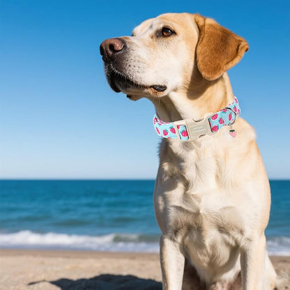 Unique style paws Dog Collar Plastic Buckle with Pendant Puppy Collar for Spring Summer Blue Strawberry for Small Medium Large Boys Girls Dogs