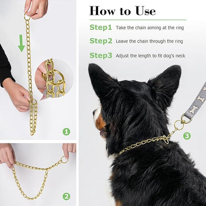 Chain Collar for Small Dogs, Metal Slip Link Training Heavy Duty Dog Choker Collar Martingale Puppy Collars for XS Small Medium Large Big XL Breed Dogs (Gold, XS(Neck Max 12inch) D2.0mm)