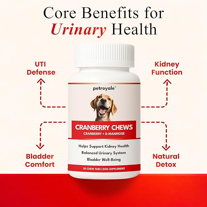 Cranberry Chews for Dogs – UTI Support & Bladder Support – Cranberry Supplement for Dogs – Dog Kidney Support – Urinary Tract & Bladder Control (30 Soft Chews)