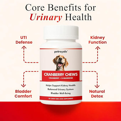 Cranberry Chews for Dogs – UTI Support & Bladder Support – Cranberry Supplement for Dogs – Dog Kidney Support – Urinary Tract & Bladder Control (30 Soft Chews)