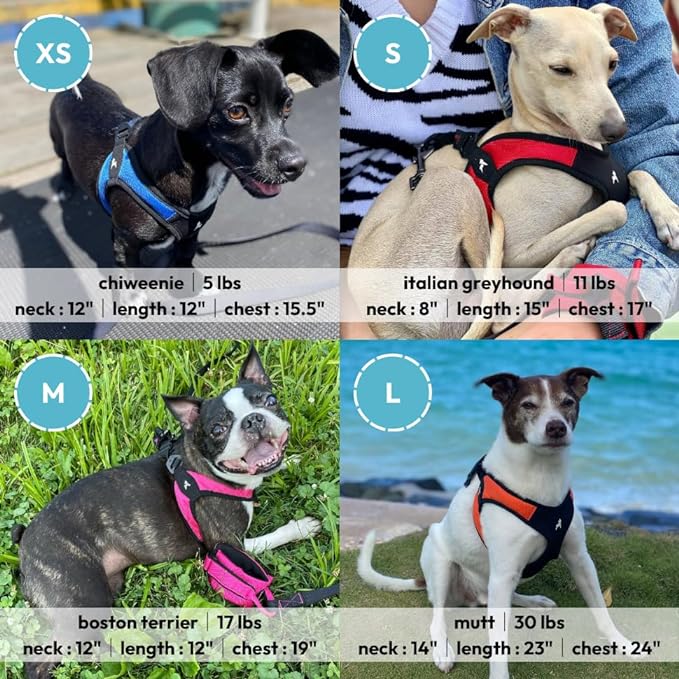 Gooby Escape Free Easy Fit Harness - Hot Pink, Medium - No Pull Step-in Patented Small Dog Harness with Quick Release Buckle - Perfect On The Go No Pull Harness for Small Dogs or Medium Dog Harness