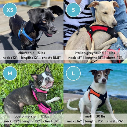 Gooby Escape Free Easy Fit Harness - Orange, Medium - No Pull Step-in Patented Small Dog Harness with Quick Release Buckle - Perfect On The Go No Pull Harness for Small Dogs or Medium Dog Harness