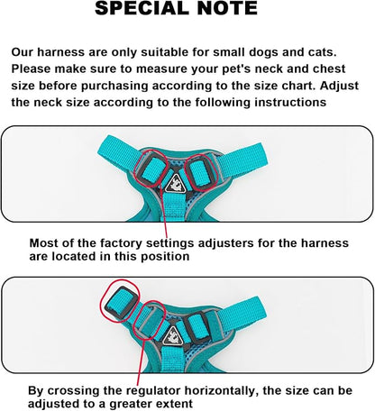 SOLMOONY Small Dog Harness,Soft Mesh Puppy Harness and Leash Set,No Escape Cat Harnesses for Training Walking,Reflective Adjustable Puppy Vest for Small Medium Dogs, Cats (Turquoise, M)