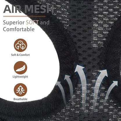 PUPTECK Soft Mesh Dog Harness and Leash Set Pet Puppy Cat Comfort Padded Vest No Pull Harnesses, Solid Black, S