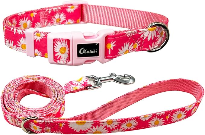 Dog Collar Leash Set, Floral Pattern, Nylon Webbing Plus Cotton Ribbon, 5ft Matching Leash, for Small Dogs.(S, Pink Daisy)