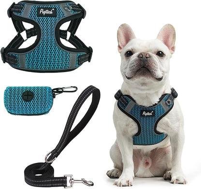 PUPTECK Dog Harness and Leash Set Small Sized, Step in No Pull Adjustable Puppy Cat Harness Reflective Pet Vest