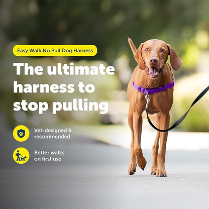 PetSafe Easy Walk Harness for Dogs - Pull-Free Walks - Patented Martingale Loop Design - Front Chest Leash Attachment - Comfort Straps - Breathable Harness Design - Medium, Deep Purple/Black