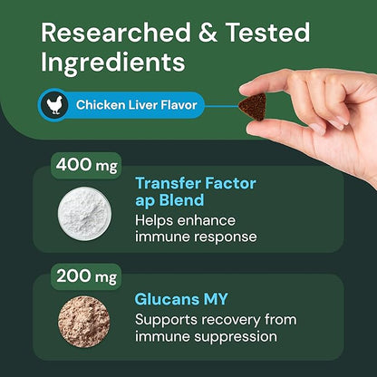 VETRISCIENCE Veterinary Strength DMG Immunity Health Chews - Immune System Support for Dogs & Cats - Liver Aid - Antioxidant Support for Pets - Chicken Flavor - 50 Count