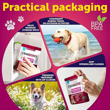 Dog UTI Treatment + Probiotic Chews Bundle - Cranberry Supplement for Bladder & Kidney Support - Probiotics & Prebiotics for Gut Health, Immunity, Yeast Balance, Reduces Diarrhea & Allergies