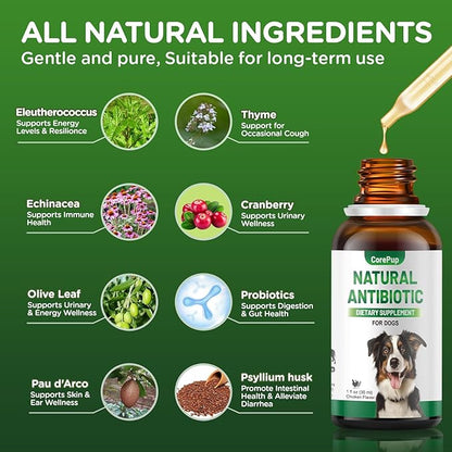 Antibiotics for Dogs,Natural Antibiotics for Dogs,Pet Antibiotic,Supplement for Urinary Tract Support, Digestion & Skin Health,Dog Allergy and Itch,Natural Herbal Supplement