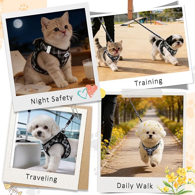 Gyuzh Cat Harness and Leash Set for Puppies - 3 Piece Step in No Pull Vest & Collar, Extra Small Kitten Harness, Breathable Reflective Plaid, Padded Leash (Black, S)