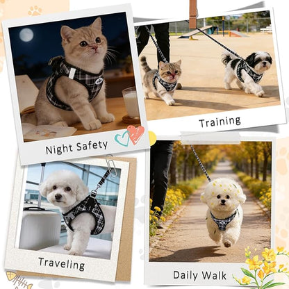 Gyuzh Cat Harness and Leash Set for Puppies - 3 Piece Step in No Pull Vest & Collar, Extra Small Kitten Harness, Breathable Reflective Plaid, Padded Leash (Black, S)