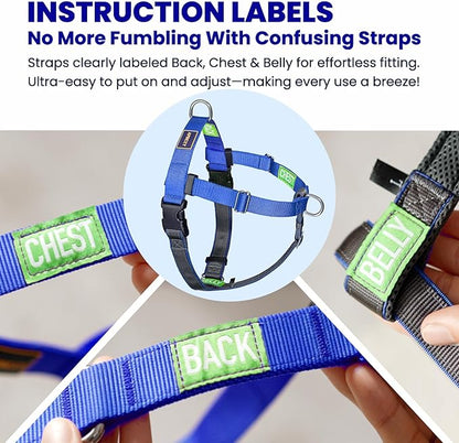 Easy Walk No Pull Dog Harness, Freedom Walk with Front and Back Clips Stainless D-Rings, Comfortable, Sewn-in Instructions Tags for Easy Use, for Medium Dogs Weight 30-39lbs (Blue, M)