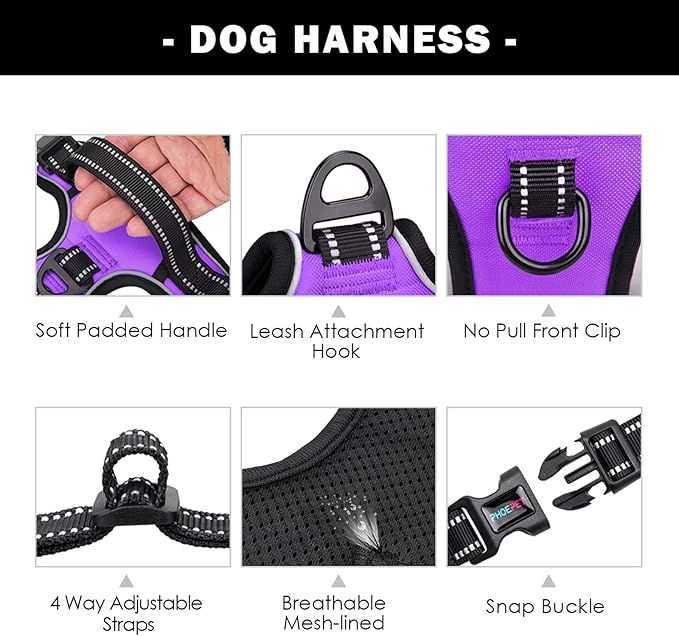 PHOEPET No Pull Dog Harnesses for Small Dogs Reflective Adjustable Front Clip Vest with Handle 2 Metal Rings 3 Buckles [Easy to Put on & Take Off](S, Purple)