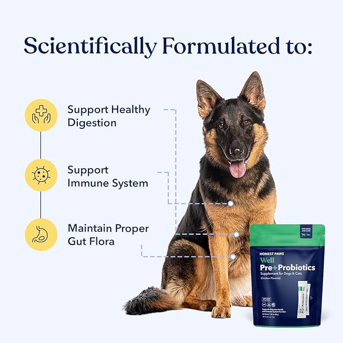 Honest Paws Probiotics for Dogs - Digestive & Immune Support Powder with Prebiotic Made in The USA, Chicken Flavor (30 Sticks)