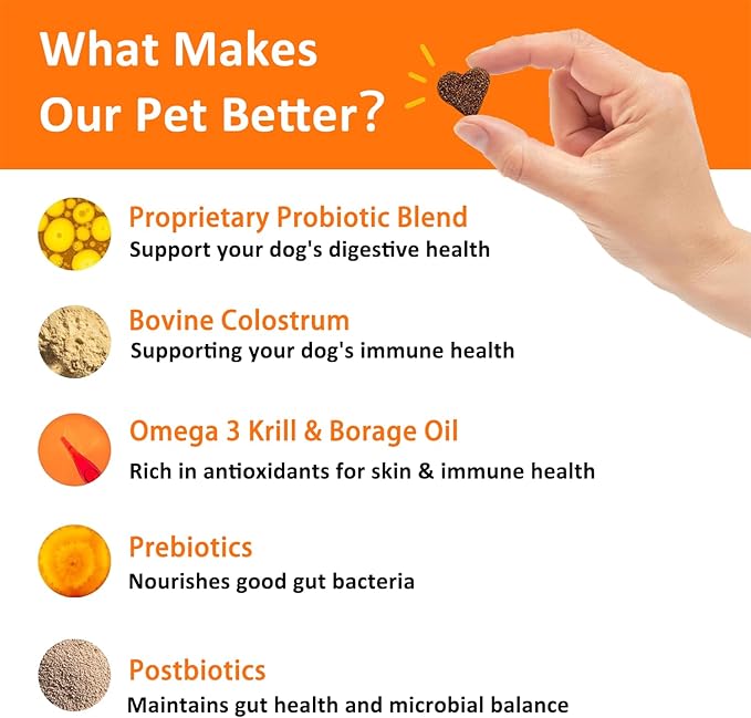 Dog Allergy Relief Chews- Allergy & Immune Probiotics, Support Seasonal Allergies, Gut & Digestive Health, Dog Itching Skin,Paw & Ears Relief- Bacon Flavor -120 Count (1 Pack/Try it)