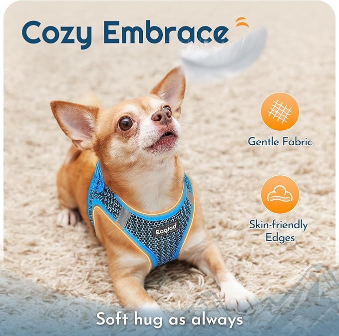 Eagloo Small Dog Harness and Leash Set, Step in Puppy Vest with Breathable Soft Mesh, Walking Reflective Pet Harness for Extra Small Dogs, Blue, XXS