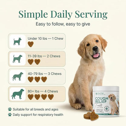 Dog Cough Medicine - 100% Natural Respiratory Support - Relief for Cough and Breathing Discomfort - All-Natural Treats Made with Real Chicken