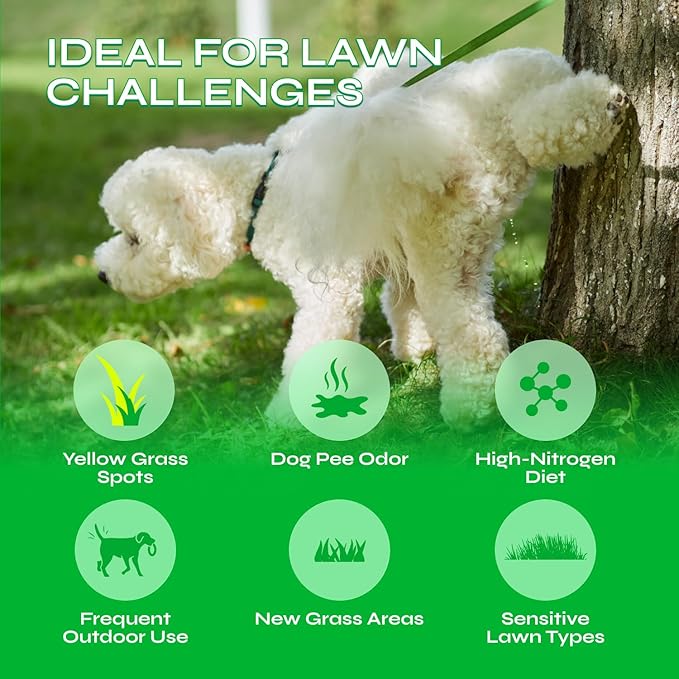 Dog Urine Neutralizer for Lawn with Probiotics - 234 Billion CFU per Pack - Grass Savers for Dog Urine with Digestive Enzymes, Cranberry - Green Grass Dog Chews for Gut Health Support - 130 Treats