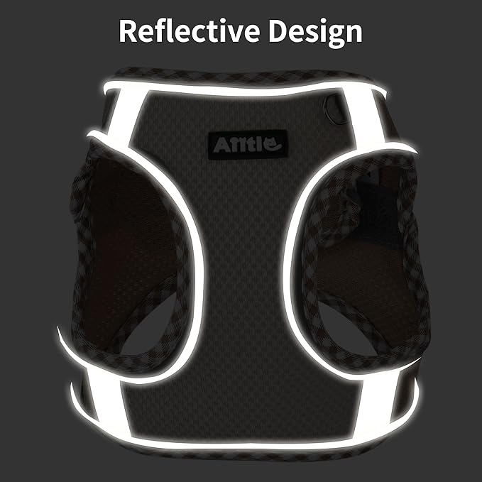 AIITLE Dog Harness and Leash Set - Ultra-Comfortable XXS-XL Vest with Strong Magic Tape & Glow-in-Dark Reflective Strips, Chafe-Free for Teddy, Schnauzer (Pink, M)