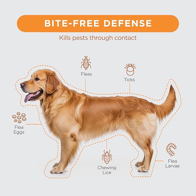 FirstAct Plus Flea Treatment for Dogs, Small Dogs 5-22 lbs, 6 Doses, Same Active Ingredients as Frontline Plus Flea and Tick Prevention for Dogs