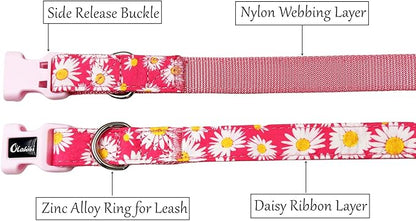 Dog Collar Leash Set, Floral Pattern, Nylon Webbing Plus Cotton Ribbon, 5ft Matching Leash, for Small Dogs.(S, Pink Daisy)