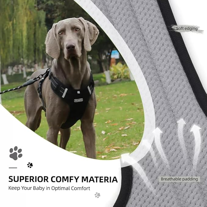 Dog Harness No Pull Adjustable Reflective,for Medium and Large Small Dog with Leash 59.06in (Black, XL)
