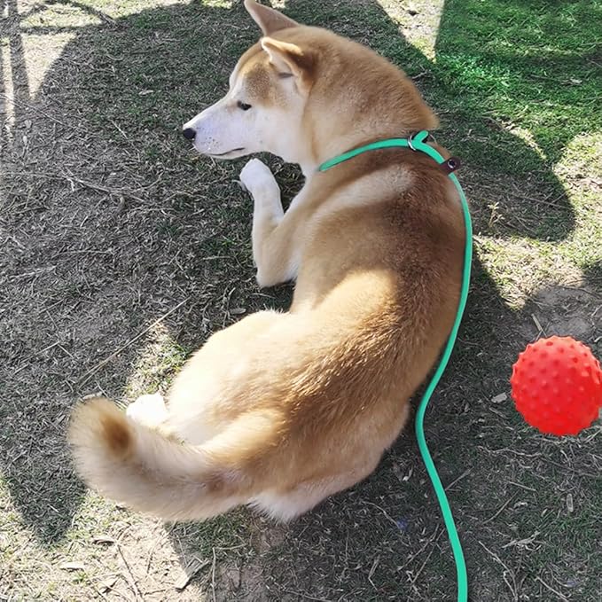 MayPaw Slip Lead Control Leash for Dogs No Pull, 13+ Colors Classic Dog Lead 7 FT Pet Slip Leash, 1/4” Rope Leashes for Small Medium Animals (7ft*1/4", Turquoise)