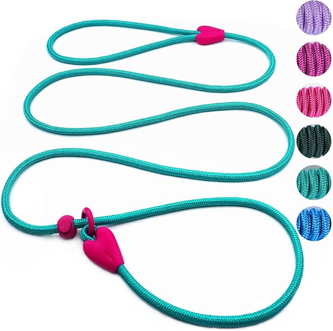 Slip Leads for Dogs Puppy Leash Comfortable 5FT Heavy Duty Loop Leash No Pull Pet Training Leash 6 Colors Classic Dog Leash for Small Medium Dogs(Lake Blue)