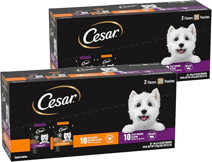 Cesar Filets in Gravy Wet Dog Food Filet Mignon Flavor and Rotisserie Chicken Flavor Variety Pack, Wet Food for Dogs, 1.76 oz. Mini-Pouches, 20 Count (Pack of 2)