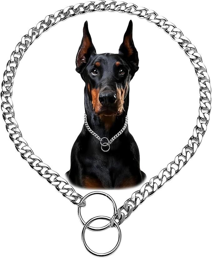 Flat Siver Choker Collar for Medium Dogs Metal Slip Dog Chain Collars Heavy Duty Training Martingale Dog Collars for XXS XS Small Medium Large Breed Pets, S