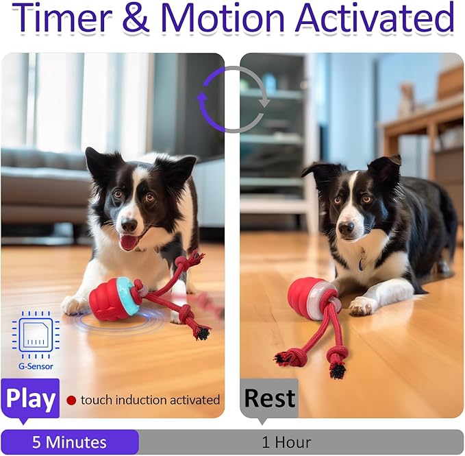 Giociv Interactive Dog Toys with Motion Activated, Squeaky Dog Toy Active Rolling Ball Wicked Ball for Daily Training
